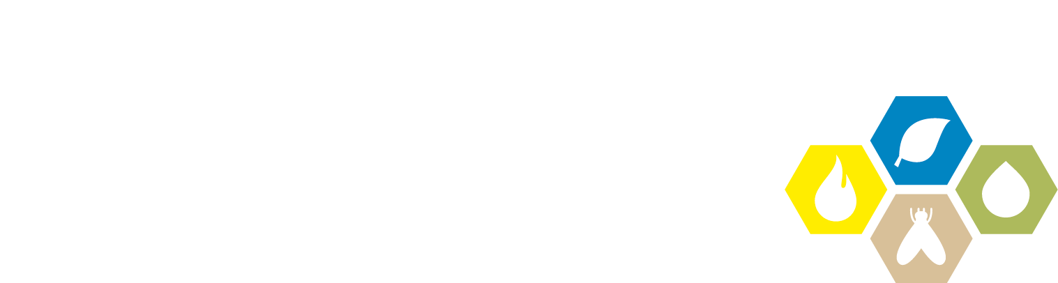 REINARTZ the origin of resources